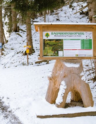Starting point Baumhoroskopweg | Christoph Lukas | © Erlebnisregion Schladming-Dachstein