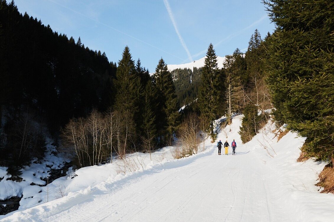 Winter Hiking Winter hiking to Mörsbachalm - Touren-Impression #1 | © Erlebnisregion Schladming-Dachstein