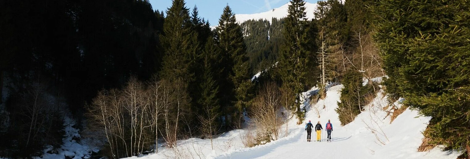 Winter Hiking Winter hiking to Mörsbachalm - Touren-Impression #1 | © Erlebnisregion Schladming-Dachstein
