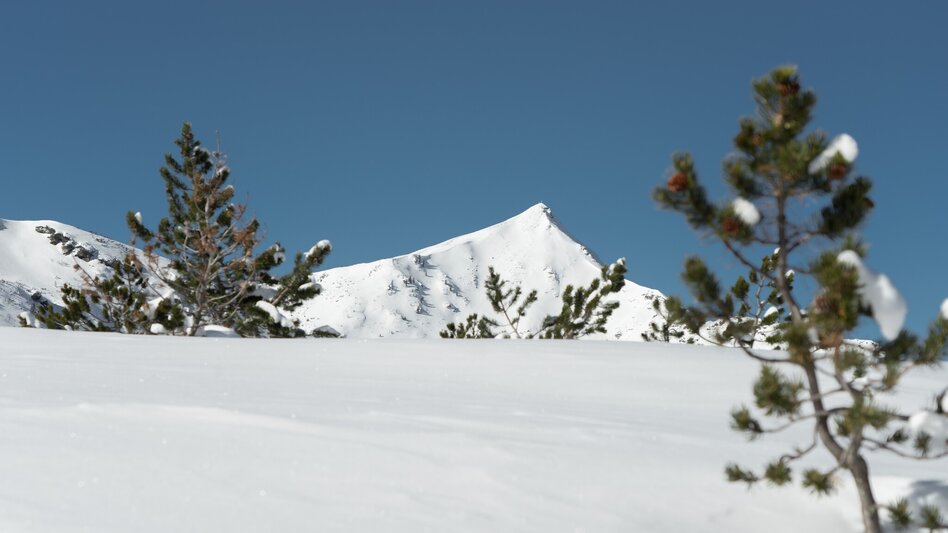 Winter Hiking Winter hiking trail Planneralm - Touren-Impression #2.5 | © Christoph Lukas