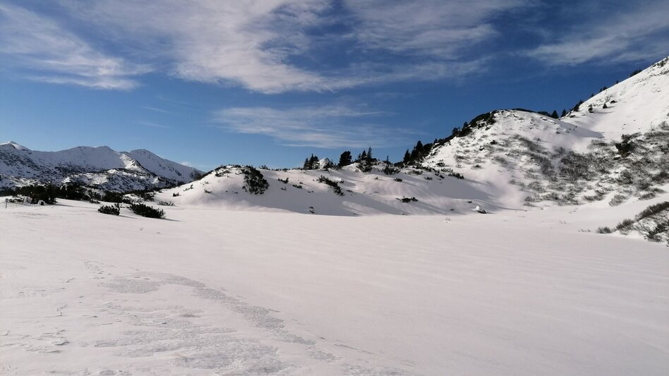 Schneeschuhwandern Schneeschuhwanderung Plannersee Runde - Touren-Impression #2.7 | © Erlebnisregion Schladming-Dachstein