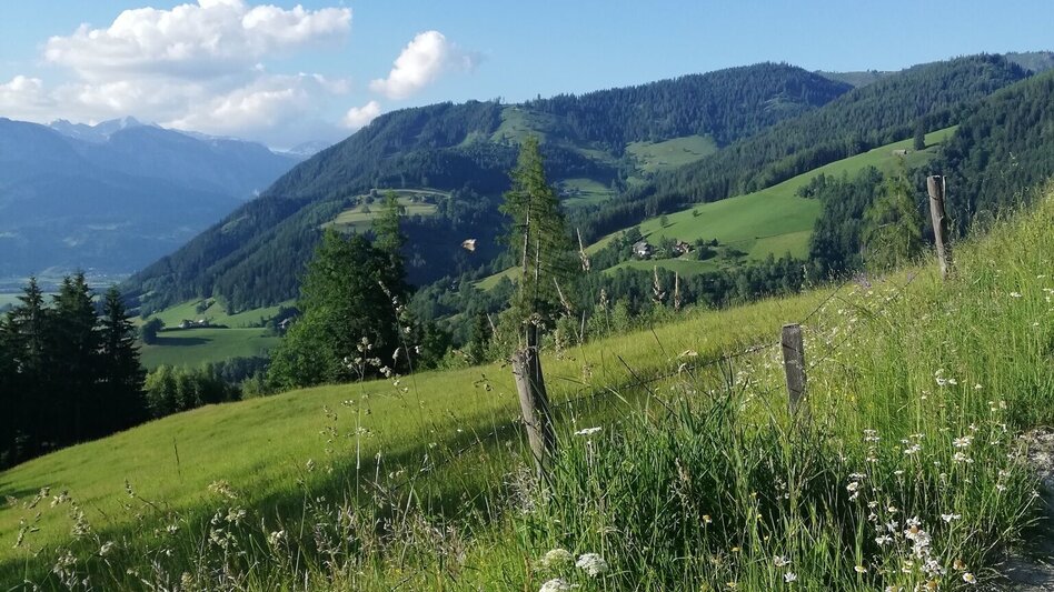 Hiking Route Mölbegg Way from Aigen - Touren-Impression #2.1 | © Tourismusverband Grimming-Donnersbachtal