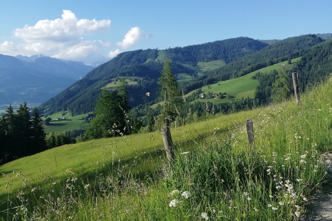 Hiking Route Mölbegg Way from Aigen - Touren-Impression #1 | © Tourismusverband Grimming-Donnersbachtal