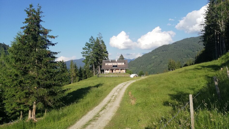 Hiking Route Mölbegg Way from Aigen - Touren-Impression #2.2 | © Tourismusverband Grimming-Donnersbachtal