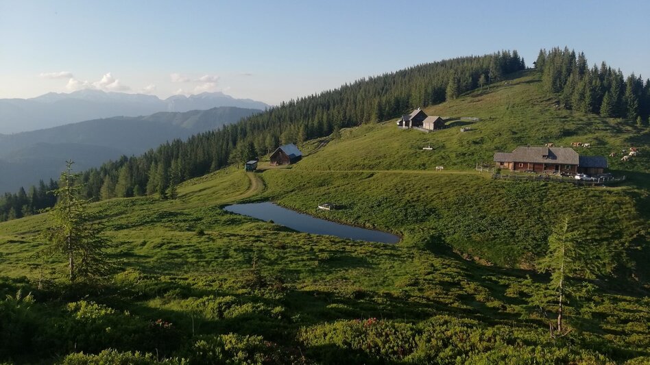 Hiking Route Mölbegg Way from Aigen - Touren-Impression #2.4 | © Tourismusverband Grimming-Donnersbachtal