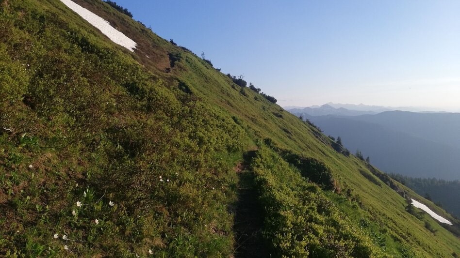 Hiking Route Mölbegg Way from Aigen - Touren-Impression #2.5 | © Tourismusverband Grimming-Donnersbachtal