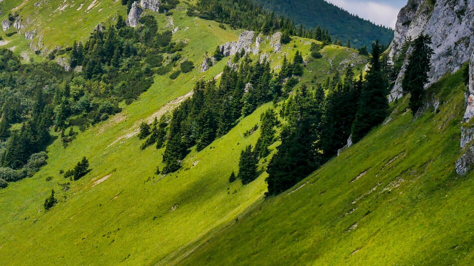 Wanderung Nordalpenweg 01 durch die Steiermark - Touren-Impression #2.5 | © Steiermark Tourismus