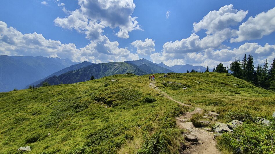 Wanderung Zentralalpenweg 02 durch die Steiermark - Touren-Impression #2.10 | © Steiermark Tourismus