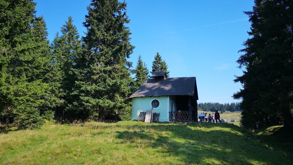 Wanderung Aus dem "Tirol" auf die Lach- und Hinteralm im Naturpark Mürzer Oberland - Touren-Impression #2.3 | © TV Hochsteiermark