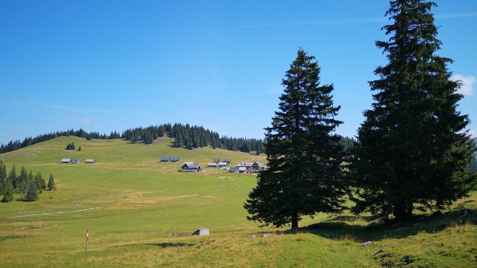 Wanderung Aus dem "Tirol" auf die Lach- und Hinteralm im Naturpark Mürzer Oberland - Touren-Impression #2.4 | © TV Hochsteiermark