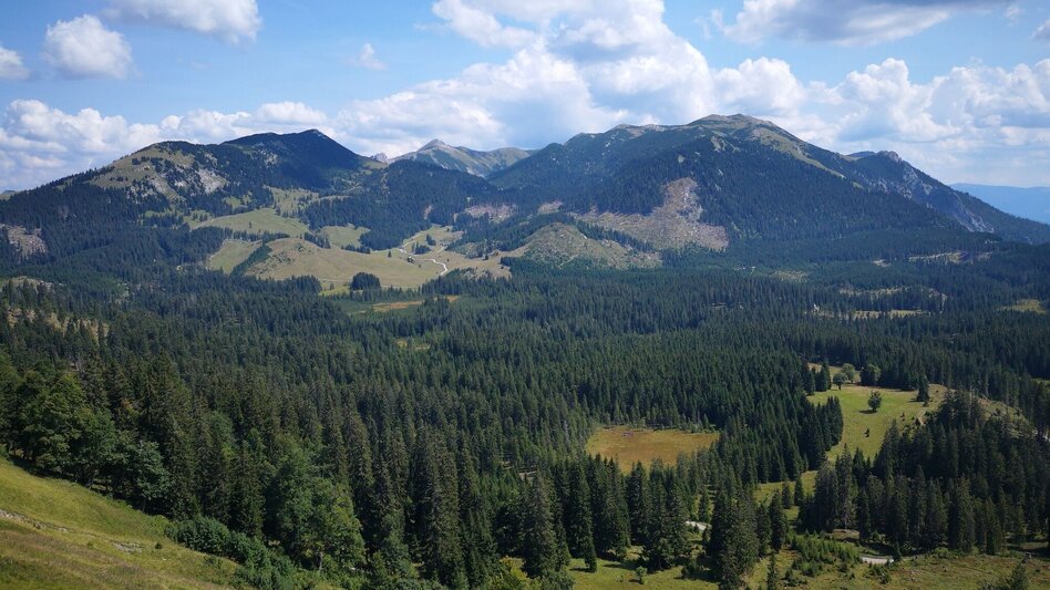 Wanderung Aus dem "Tirol" auf die Lach- und Hinteralm im Naturpark Mürzer Oberland - Touren-Impression #2.7 | © TV Hochsteiermark