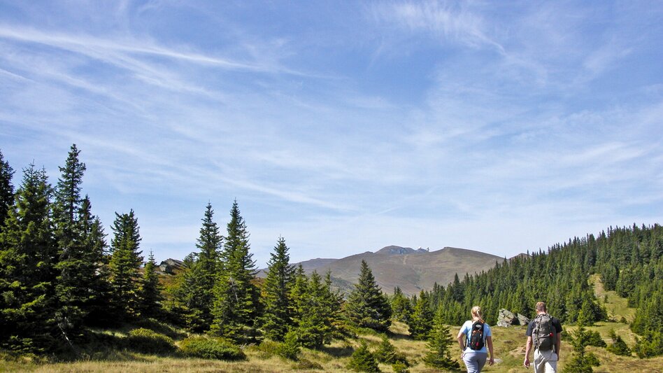 Wanderung Nord-Süd Weitwanderweg 05 durch die Steiermark - Touren-Impression #2.12 | © Steiermark Tourismus