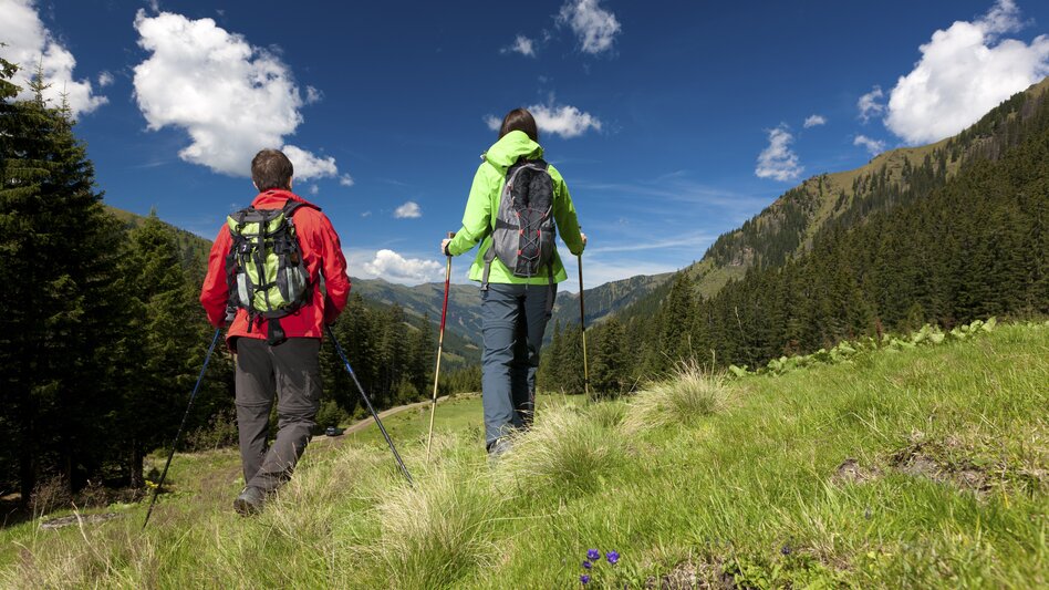 Wanderung Salzsteigweg 09 durch die Steiermark - Touren-Impression #2.5 | © Steiermark Tourismus