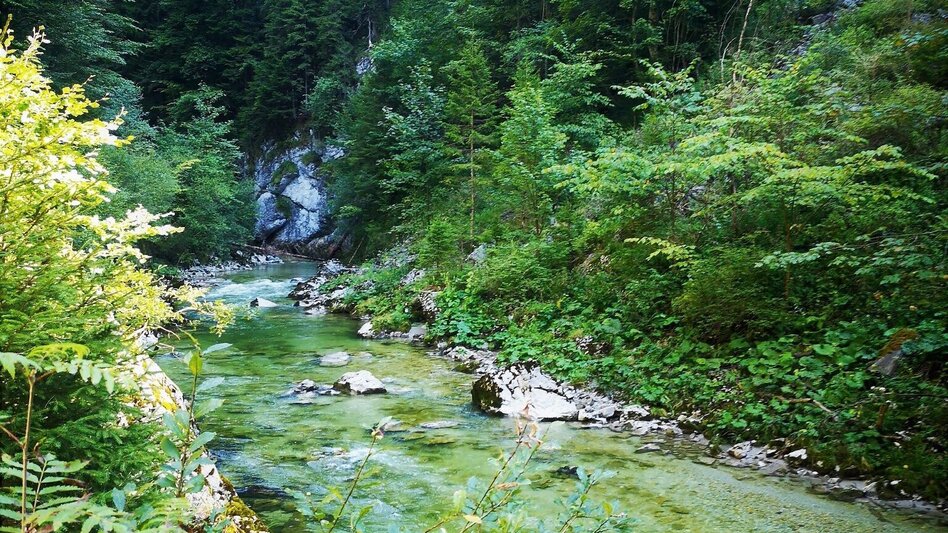 Wasserweg Spaziergang zum Naturjuwel "Totes Weib" - Touren-Impression #2.2 | © TV Hochsteiermark