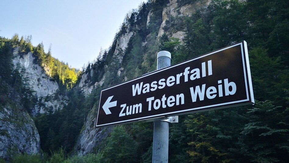 Wasserweg Spaziergang zum Naturjuwel "Totes Weib" - Touren-Impression #2.5 | © TV Hochsteiermark