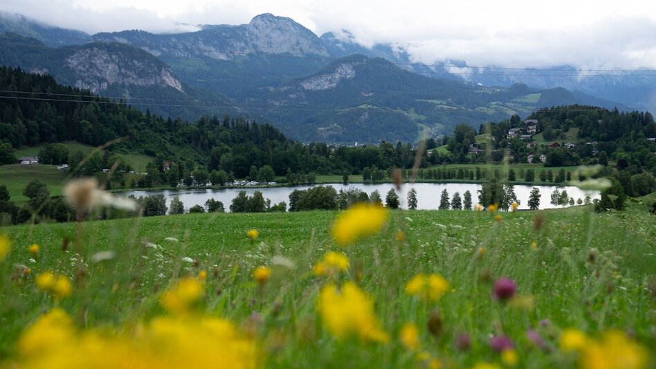 Hiking Route Schlattham-Lantschern-Way - Touren-Impression #2.5 | © Erlebnisregion Schladming-Dachstein