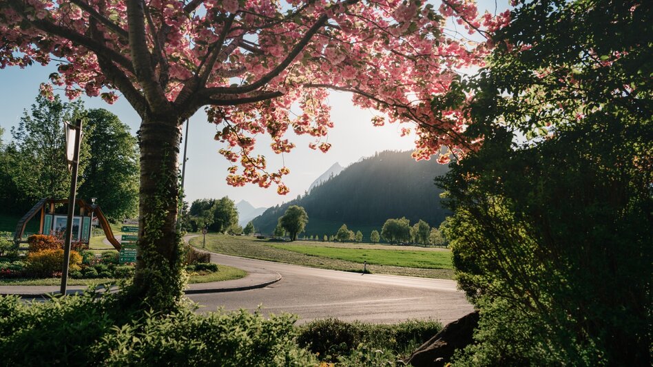 Hiking Route Ritzmansdorf-Taschenberg-Way - Touren-Impression #2.1 | © Christoph Lukas