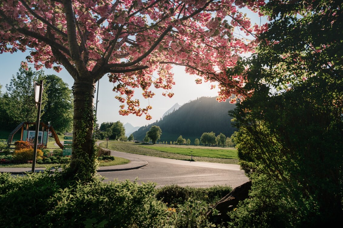 Hiking Route Ritzmansdorf-Taschenberg-Way - Touren-Impression #1 | © Christoph Lukas