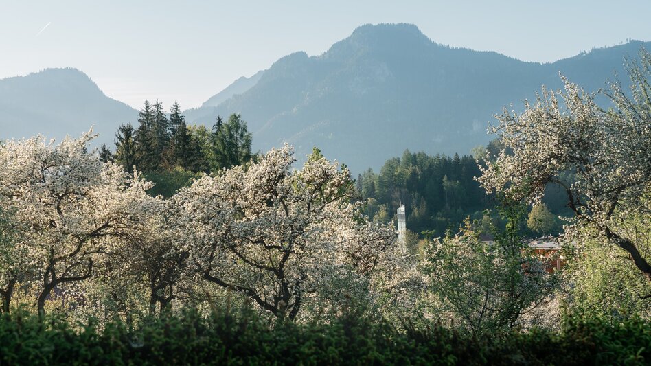Hiking Route Ritzmansdorf-Taschenberg-Way - Touren-Impression #2.3 | © Christoph Lukas