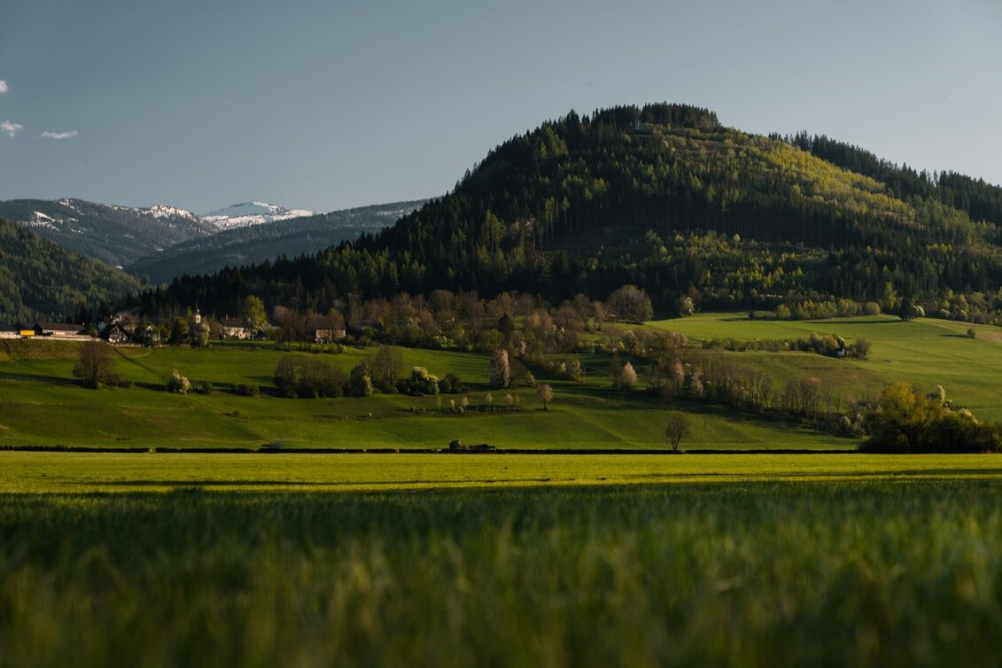 Hiking Route Summit Kulm - Touren-Impression #1 | © Erlebnisregion Schladming-Dachstein
