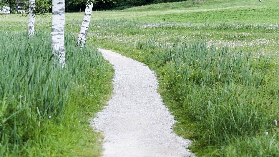 Hiking Route Kulmrundweg - Touren-Impression #2.2 | © Erlebnisregion Schladming-Dachstein