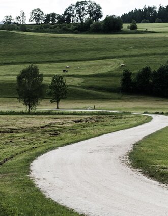 Kulmrundweg hiking trail | Melanie Kraxner | © Erlebnisregion Schladming-Dachstein