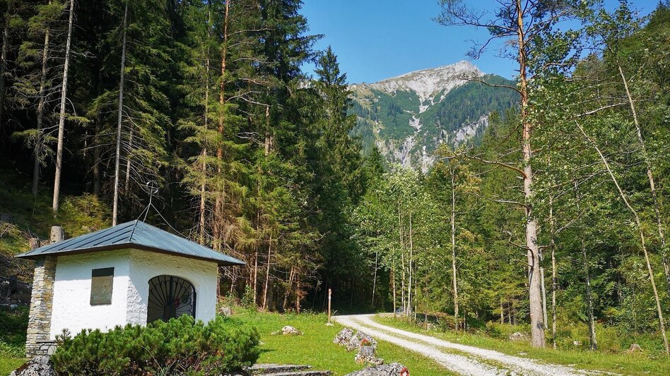 Wanderung Aus dem Karlgraben auf das Schönhaltereck im Naturpark Mürzer Oberland - Touren-Impression #2.6 | © TV Hochsteiermark