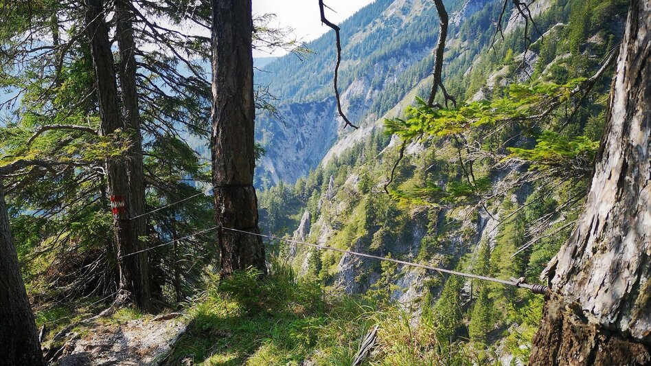Wanderung Aus dem Karlgraben auf das Schönhaltereck im Naturpark Mürzer Oberland - Touren-Impression #2.7 | © TV Hochsteiermark