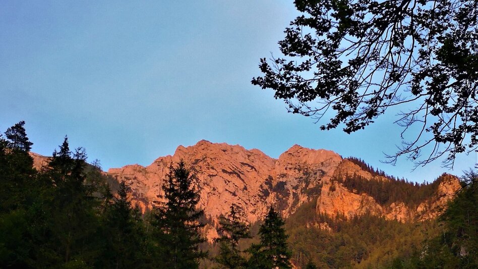 Wanderung Aus dem Karlgraben auf das Schönhaltereck im Naturpark Mürzer Oberland - Touren-Impression #2.13 | © TV Hochsteiermark