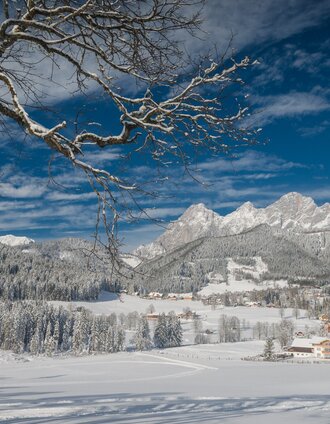 Winterwandern Kulmbergrunde | Christine Höflehner | © Christine Höflehner