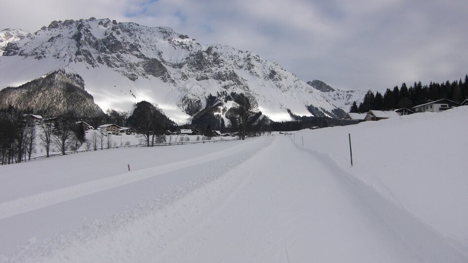 Winterwandern Kulmbergrunde Winterwanderweg - Touren-Impression #2.9 | © Schladming-Dachstein