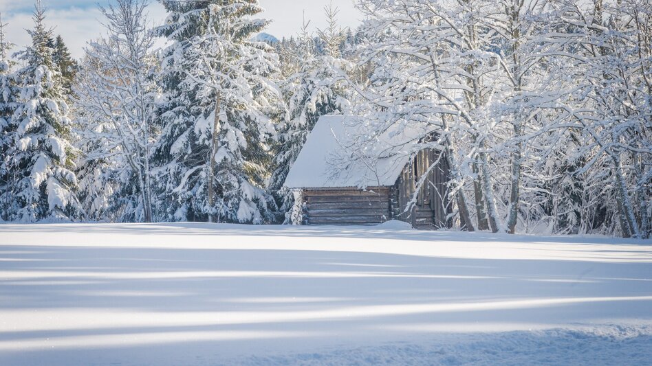 Winterwandern Kulmbergrunde Winterwanderweg - Touren-Impression #2.7 | © Christine Höflehner