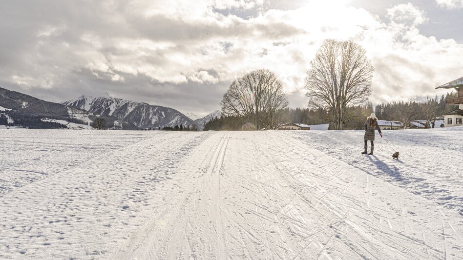 Winterwandern Kulmbergrunde Winterwanderweg - Touren-Impression #2.3 | © Gerhard Pilz