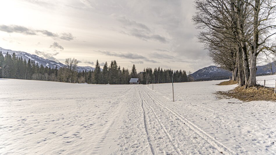 Winterwandern Kulmbergrunde Winterwanderweg - Touren-Impression #2.6 | © Gerhard Pilz