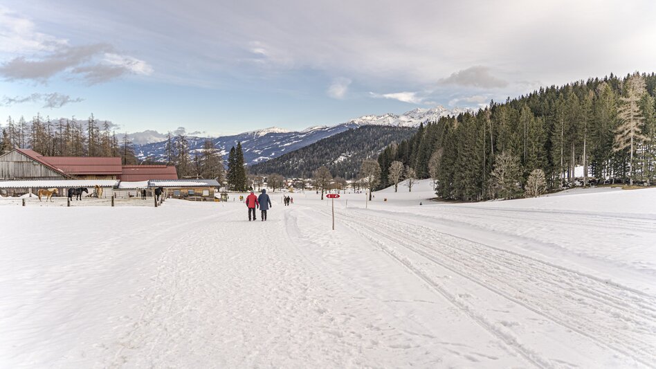 Winterwandern Kulmbergrunde Winterwanderweg - Touren-Impression #2.11 | © Gerhard Pilz
