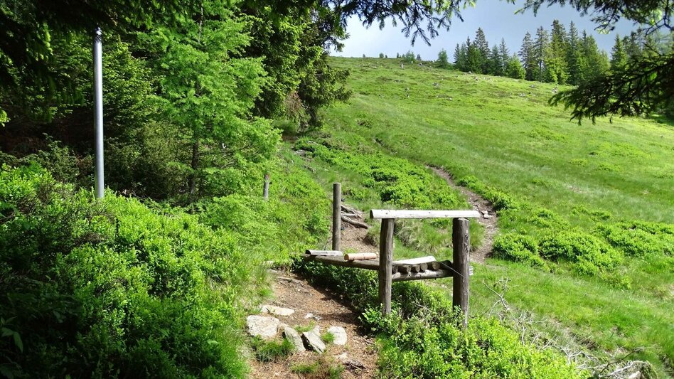 Wanderung Steinplan vom Oberkamper - Touren-Impression #2.2 | © Weges OG