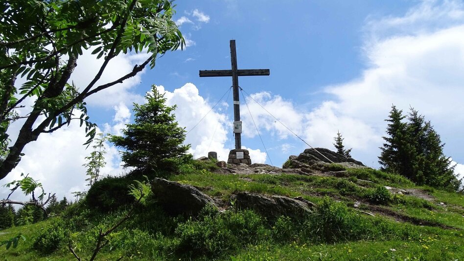 Wanderung Steinplan vom Oberkamper - Touren-Impression #2.3 | © Weges OG