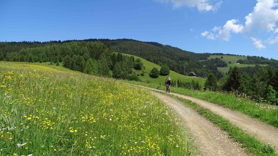 Radfahren Steinplan – Knittelfelds Hausberg - Touren-Impression #2.6 | © Weges OG