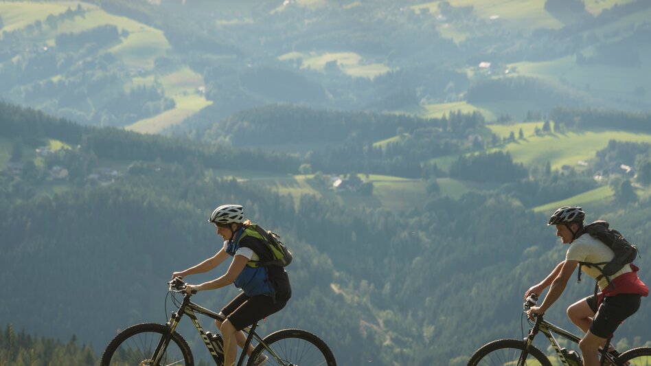 Cycling Discovery Tour 6 - E-Bike Tour: Pöllau / Birkfeld / Strallegg / Wenigzell / Vorau / Pöllau - Touren-Impression #2.2 | © Oststeiermark Tourismus
