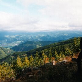 Blick von Stanglalm Richtung Krieglach | © TV Hochsteiermark