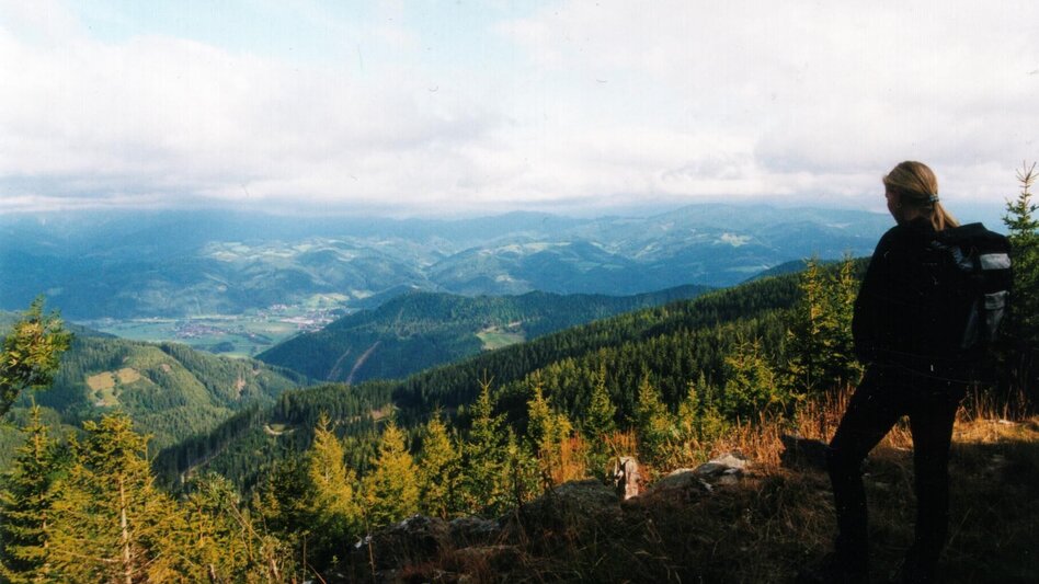 Wanderung Wanderung Alpl - Stanglalm - Krieglach - Touren-Impression #2.1 | © TV Hochsteiermark