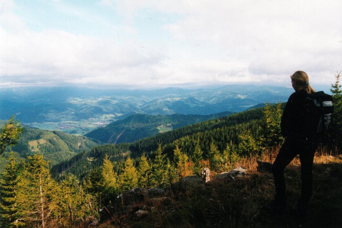 Wanderung Wanderung Alpl - Stanglalm - Krieglach - Touren-Impression #1 | © TV Hochsteiermark