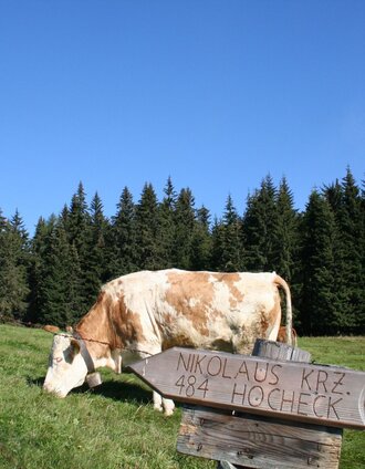 Wegweiser Malleisten Alm - Hocheck | Maria Steindl | © TV Hochsteiermark