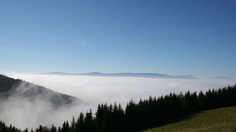 Wanderung Sommerberg - Hocheck - Malleistenalm - Touren-Impression #2.2 | © TV Hochsteiermark