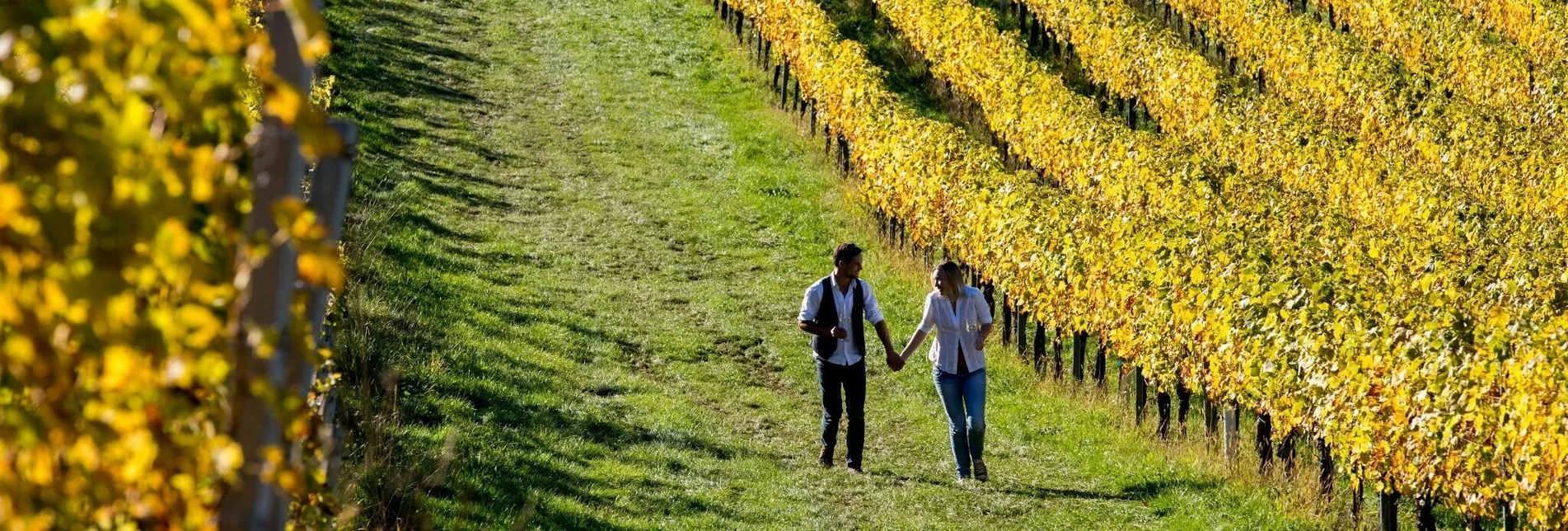 Wanderung Weinwanderweg Ratsch-Ottenberg (Variante 21a) - Touren-Impression #1 | © TV Die Südsteirische Weinstraße