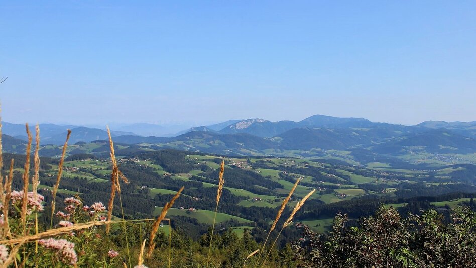 Wanderung Schöckl-Runde, Schöcklkreuz-Plenzengreith - Touren-Impression #2.1 | © Oststeiermark Tourismus