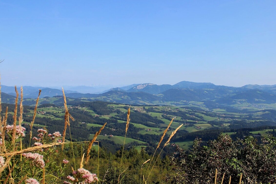 Wanderung Schöckl-Runde, Schöcklkreuz-Plenzengreith - Touren-Impression #1 | © Oststeiermark Tourismus