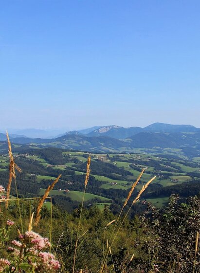 Ausblick vom Schöckl zur Roten Wand | © Oststeiermark Tourismus | Christine Pollhammer | © Oststeiermark Tourismus