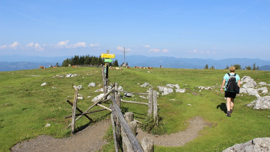 Wanderung Schöckl-Runde, Schöcklkreuz-Plenzengreith - Touren-Impression #2.5 | © Oststeiermark Tourismus
