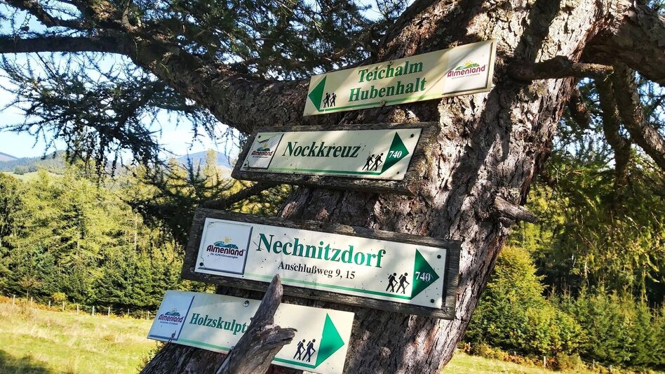 Hiking Route Gerler Round from the Nechnitz - Touren-Impression #2.11 | © Oststeiermark Tourismus